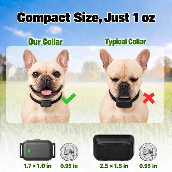 CICPAP Shock Collar for Small Dogs 5-30 lbs, Ultra-Compact Dog Training Collar with Remote, IPX8 Waterproof Rechargeable E-Collar with 3 Modes