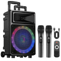 Seenda Karaoke Machine with 2 Wireless Microphones, Bluetooth Speaker, and Portable PA System – Includes FM Radio and 12" Woofer for Party