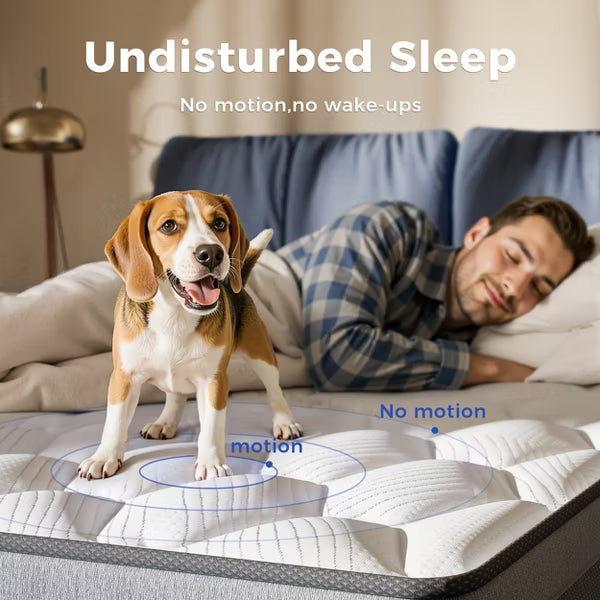 Swedrea Hybrid Series Medium Cooling Memory Foam Bed-in-a-Box Mattress