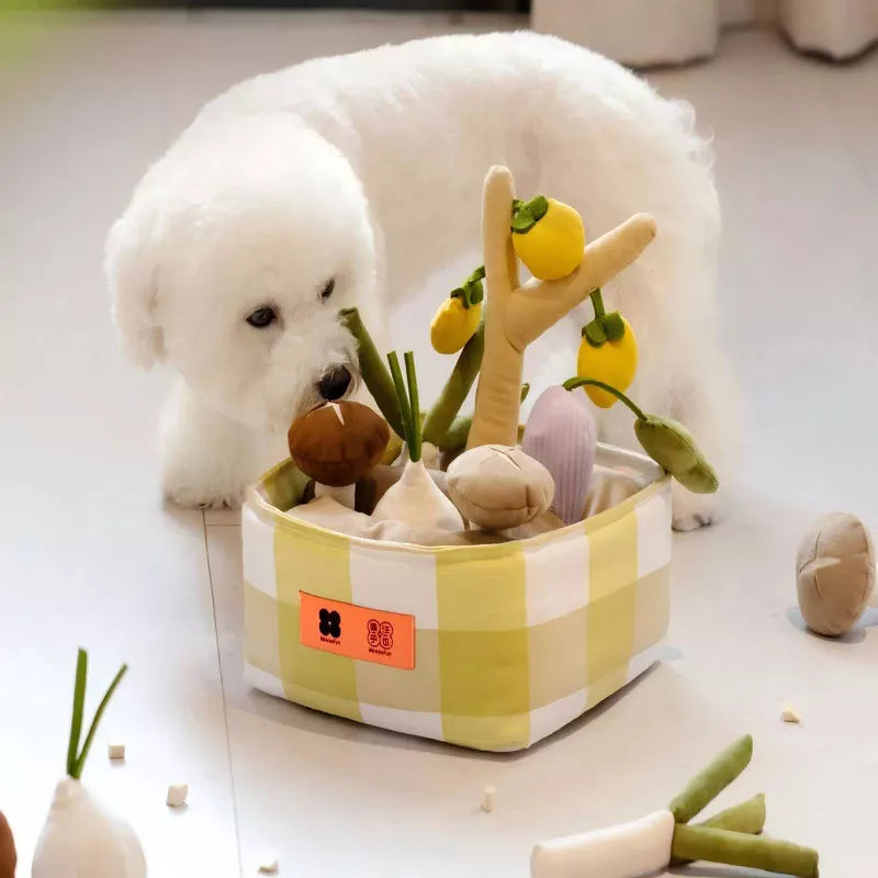 Mewoofun Pet Toy Vegetable Shape Interactive Toy Dog Treat Puzzle Feline Canine Enrichment Multi Style Toys, Green, 10.63"*1.97"*9.06"