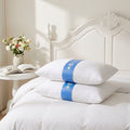 2 Pack Goose Down Pillows – Queen Size Bed Pillows for Sleeping, Includes 2 Pack Soft Cotton Covers